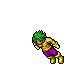 Pokinhoso
