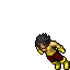 Kikusbr