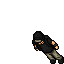 Policiam