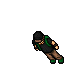 Thorius