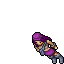 Spply Stelar