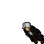 Genosteg