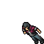 CarroCinha