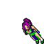 Amazona