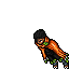 Dark Return