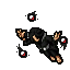 Apolomb