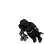 XerXee