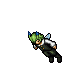 [Help] Zerk Shadow